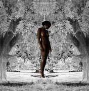 American visual artist Ayana V. Jackson depicts the lynching of an African-American in this work