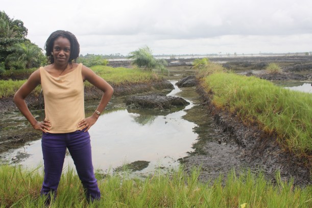 Sadness and frustration overwhelmed me when I saw with my own eyes the extensive oil spill damage in the beautiful Niger Delta region