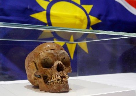 A human skull from the Herero and ethnic Nama people is displayed during a ceremony in the auditorium of Berlin's Charite hospital September 30, 2011. The hospital is returning 20 human skulls to Namibia, which were taken from victims of the Herero and Nama tribes, who died at the hands of German colonial forces during the resistance war in Namibia between 1904 and 190. The Namibian skulls were were sent to Berlin, a hub at the outset of the 20th century for anthropological research, for racial analysis, according to Charitie's research. Many skulls are still stored at the Medical History Museum at the teaching hospital in Berlin. REUTERS/Tobias Schwarz (POLITICS RELIGION) 